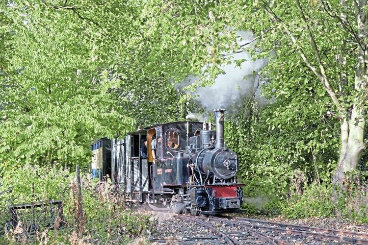 2ft gauge locomotive for sale online