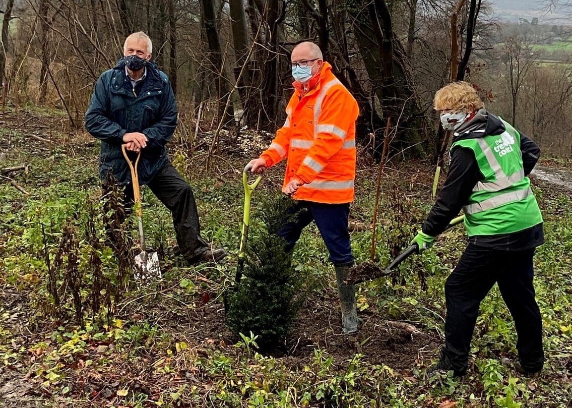 Over 80,000 trees planted across UK in £1 million pledge